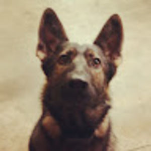 Meet your Posher, Jillian